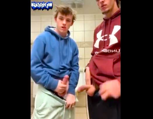 Cocks